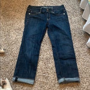 American eagle Artist Crop